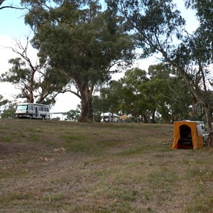 Plenty of space in the Mendooran rest area