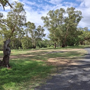 Mendooran Rest Area