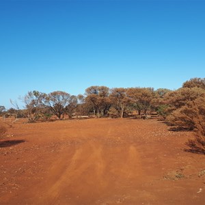 Bluebird parking area