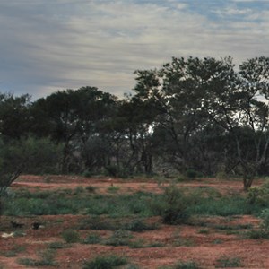 A view to the river