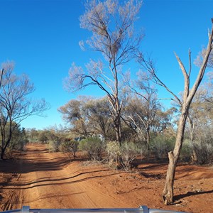 Gascoyne River (Middle Branch)