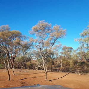 Gascoyne River (Middle Branch)