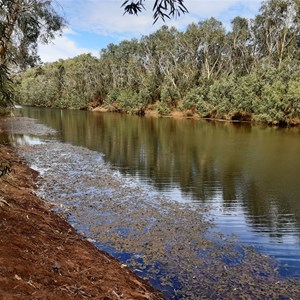 Coongan Pool