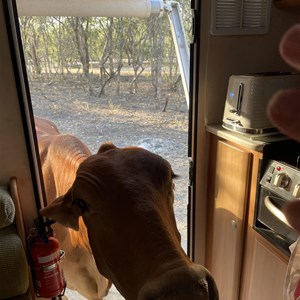 The Lake (Ellendale)