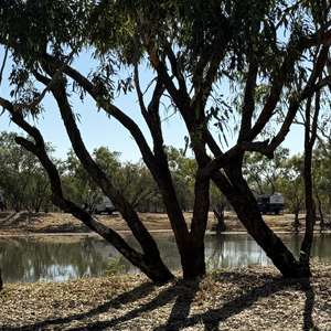 The Lake (Ellendale)