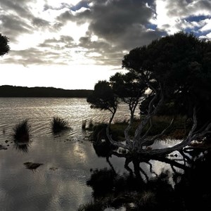 Fitzroy River Reserve