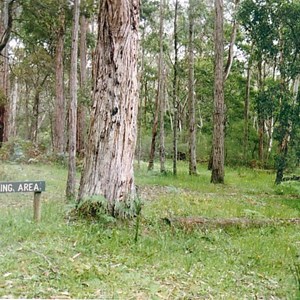 Hiscocks camp ground