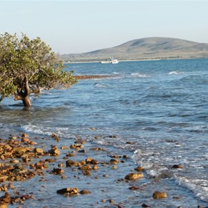 Fitzgerald Bay