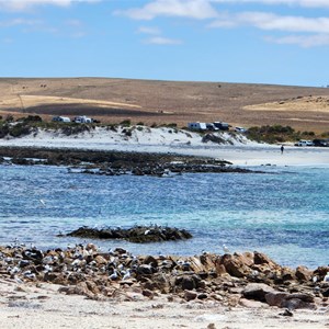 Lipson Cove Camping Ground
