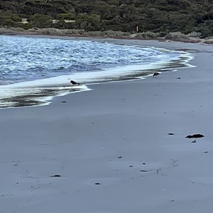 September Beach Campground