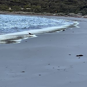 September Beach Campground