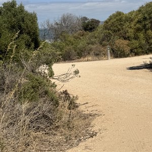 Engine Point Campground