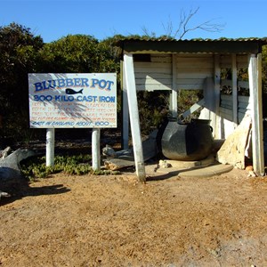 Whaling Station