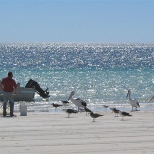 Farm Beach