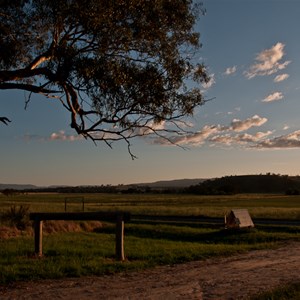 Landscape View