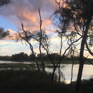 Chinchilla Weir Camp