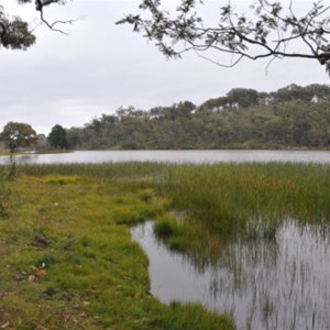 Burraga Dam backwater