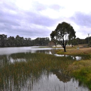 Burraga Dam backwaters