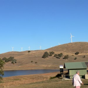 Carcoar Dam