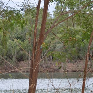 Mambi Island