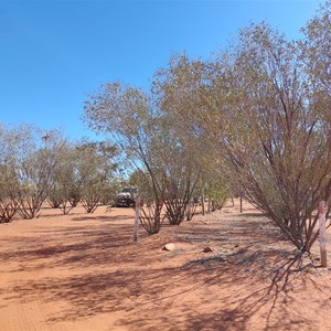 Warakurna Campground