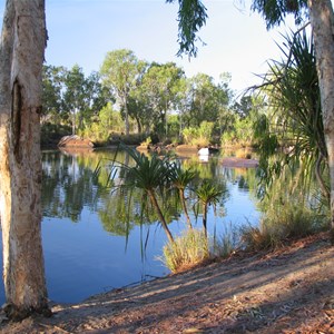 Manning Creek at campsite