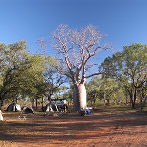 Crowds in June