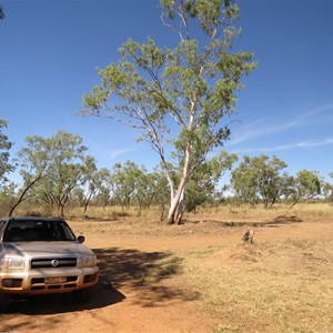 The actual camping area