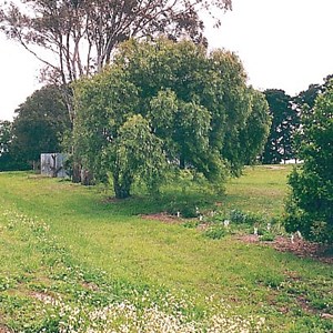 lake tooliorook