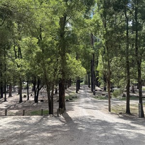 Dandos Campground