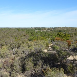 Wonga Campground