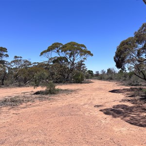 Koongawa Eastbound Rest Area & Camp