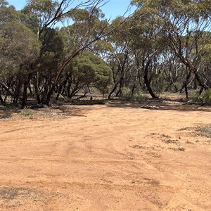 Koongawa Eastbound Rest Area & Camp