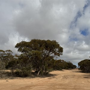 Puntabie East Rest Area