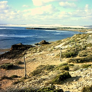 View from top of dune behind campground