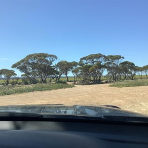 Cohen Rest Area