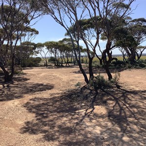 Cohen Rest Area