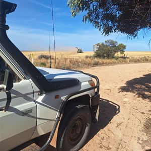 Cohen Rest Area