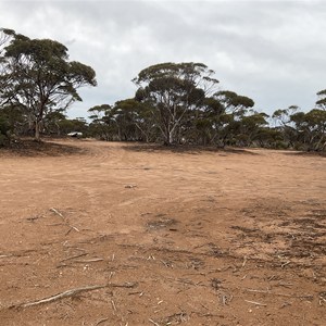 Kidnippy Rest Area