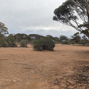 Kidnippy Rest Area