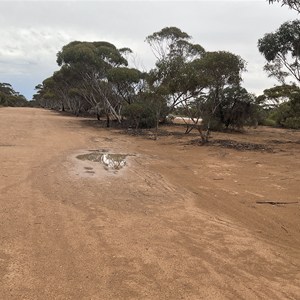 Kidnippy Rest Area
