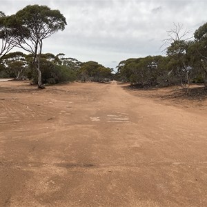 Kidnippy Rest Area