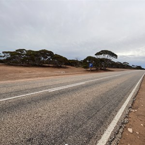 Kidnippy Rest Area