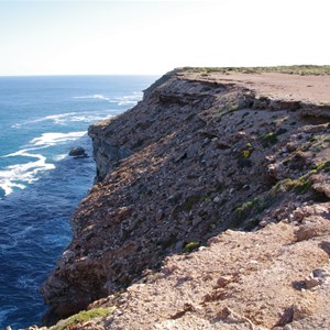 Scenic Lookout