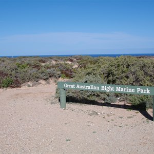 Scenic Lookout