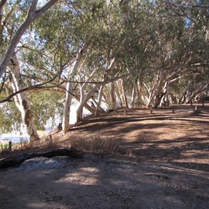 Vehicle area - plenty of shade