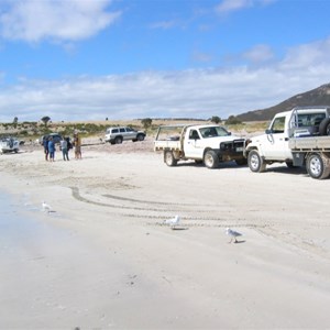 Farm Beach