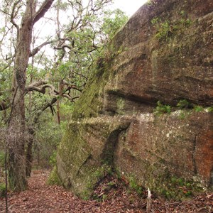 Natures beauty in Morton NP