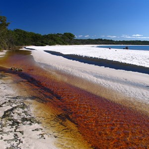 Tannin stained creekwater