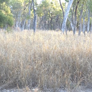 Judds Lagoon